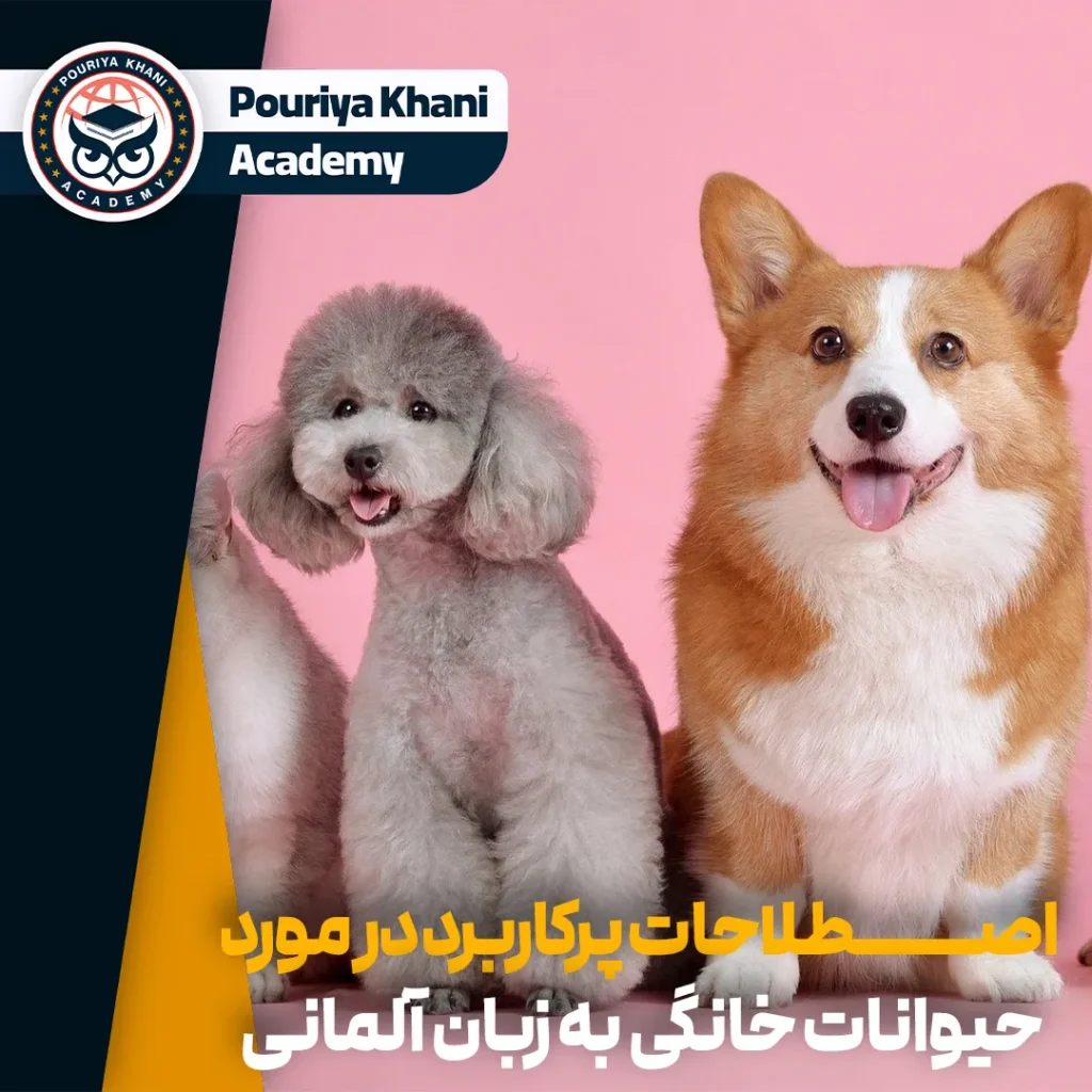 حیوانات خانگی به زبان آلمانی